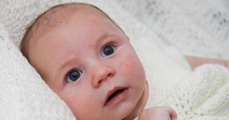 Pixabay/amyelizabethquinn